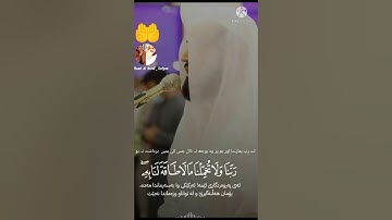 Raad Al kurdi Whatsapp status _ سورة البقرة ، الشيخ رعد بن محمد الکردى