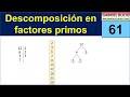 61 - Descomposición en factores primos