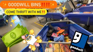 Let’s GO To Goodwill Bins! Thrift With Me At The Goodwill Bins For Resale! 30+ Pounds! ++ HAUL