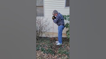 Ham grounding rod installation