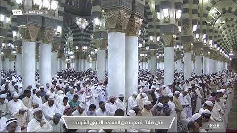 صلاة المغرب|للشيخ عبدالمحسن القاسم 16 صفر 1444هـ |من سورة فصلت 40-44