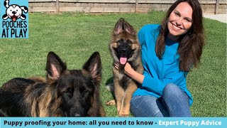 Puppy Proofing your home - expert dog training tips by Lara Shannon 83 views 2 years ago 3 minutes, 40 seconds