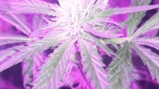 Hydro update time
