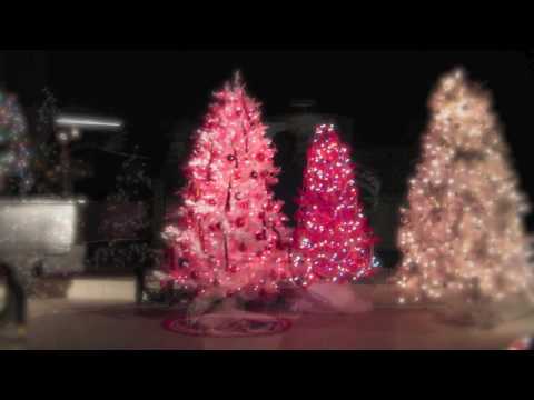 O Tannenbaum & Away In A Manger, Wurlitzer Theatre...