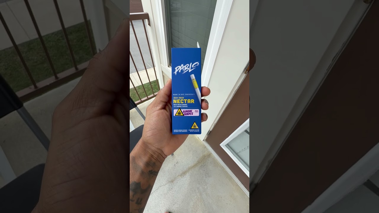 PABLO 1GRAM Disposable Vape💨 |Cheap Disposable Vape|