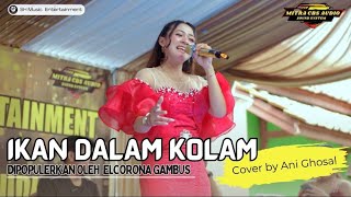Download lagu Ani Ghosal (Cover) - Ikan Dalam Kolam | Live Resepsi Pernikahan Rani & Kamal.