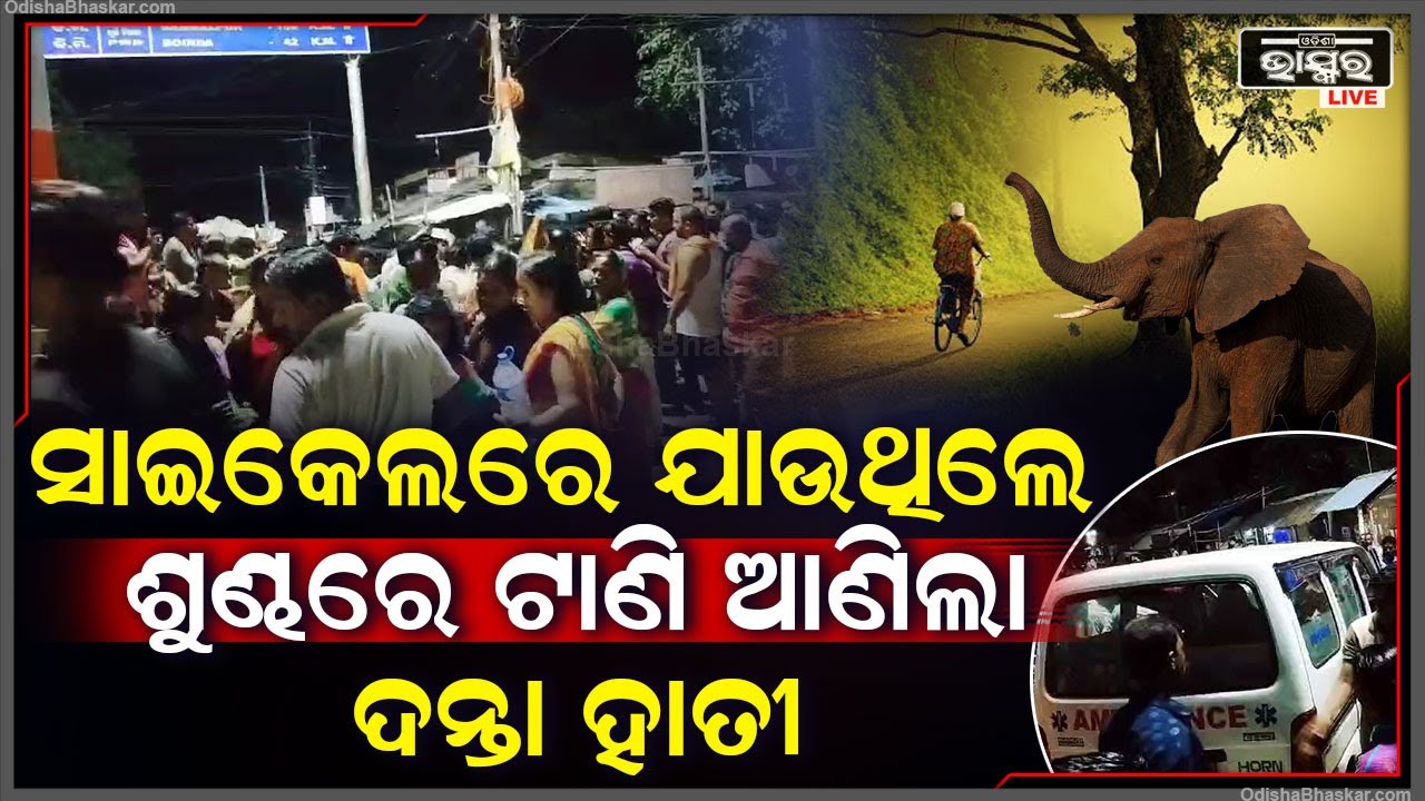 ସାଇକେଲରେ କାମକୁ ଯିବା ବେଳେ ଶୁଣ୍ଢରେ ଟାଣି ଆଣିଲା ହାତୀ |ଚାଲିଗଲା ଜୀବନ