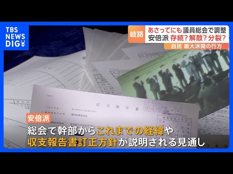 どうなる「安倍派」 19日にも“議員総会”開催で調整　派閥は存続？解散？分裂？｜TBS NEWS DIG