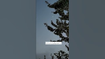 وَمَنْ أَعْرَضَ عَن ذِكْرِي فَإِنَّ لَهُ مَعِيشَةً ضَنكًا#محمد_ديبيروف | #سورة_طه.