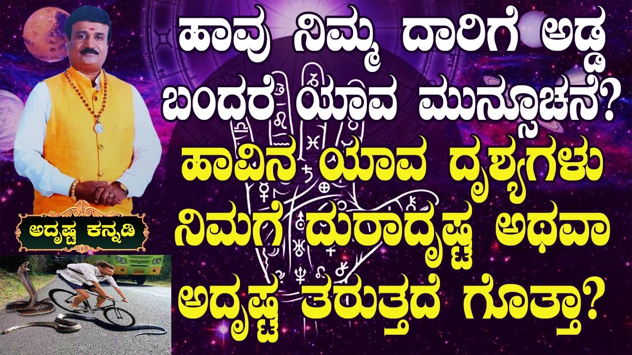 These Snake VISUALS Brings GOOD LUCK / BAD LUCK - Be CAREFUL : AdithyaNarayan Guruji