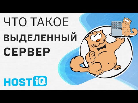 Что такое выделенный сервер (Dedicated Server)