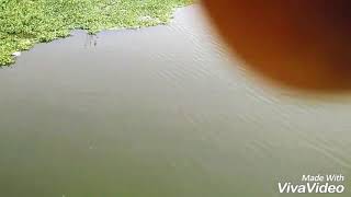 Kaise main kahun tujhse rehna he tere dil me by Anand masih