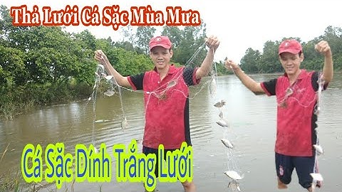 Thả Lưới Mùa Nước nổi Và cái kết không thể nào tin nổi