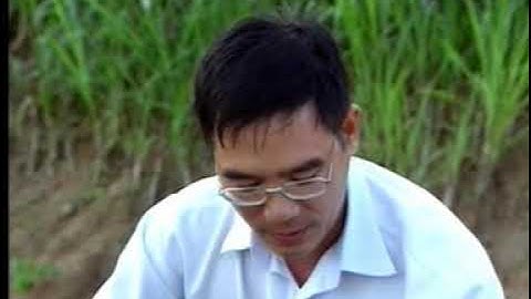 QUY TRÌNH SẢN XUẤT GIỐNG TÔM CÀNG XANH