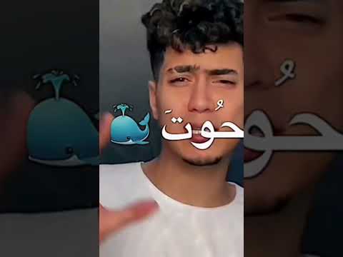 شوف الموت حمو الطيخا حمو الطيخا