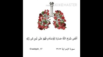 سورة الزمر ٢٢,٢٣( أَفَمَن شَرَحَ اللَّهُ صَدْرَهُ لِلْإِسْلَامِ ..)