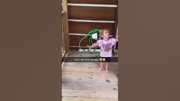 Can I pet that dawg/ original video❤️