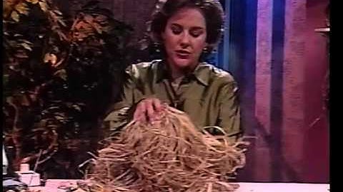 Demo Reel: 1997-1998