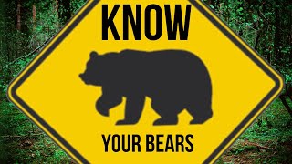 Know Your Bears