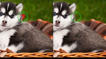 Find the Difference Level 251