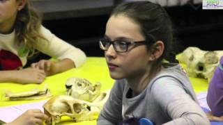 #KinderUni - доступная наука на немецком языке