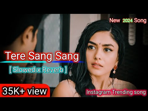 Tere Sang Sang Rah Kar Mai Rang Jau  Slowed  Reverb  New 2024  Song  love  trending  song  viral