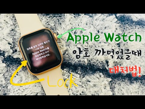 Apple Watch 암호 잃어버렸을때 대처법 10분 만에 해결하는 방법 