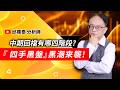 理周TV-20260519盤後-邱鼎泰 鼎泰瘋台股／中期回檔有哪四階段? 『 四手黑盤』黑潮來襲!
