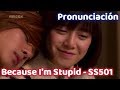 Because I'm Stupid - SS501 | Pronunciación | Boys Over Flowers OST