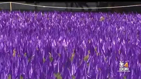 20,000 flags placed on Boston Common to honor lives lost to overdoses