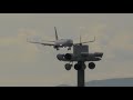 新型ウイングﾚｯﾄ のユナイテッド航空 B737 800 セントレア着陸 