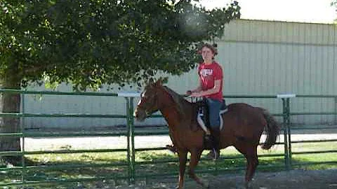Amira - Alice Trimble clinic 2012