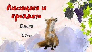 видео: Лисицата и гроздето - Басня на Езоп картинка: Лисицата и гроздето - Басня на Езоп