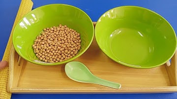 Montessori Practical Life - Spooning