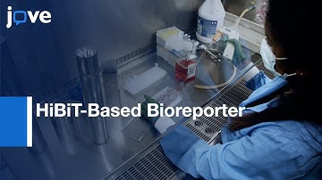 HiBiT-Based Bioreporter for Detecting SARS-CoV-2 RBD Antibody | Protocol Preview