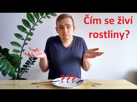 Video: Co Je Minerální Výživa Rostlin