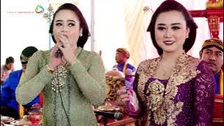 NONSTOP COKEK MUDHO LARAS GAYENG POOLLL....!!!
