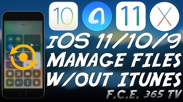 How to Manage The Files on Your iPhone/iPad/iPod Without iTunes | AnyTrans Review