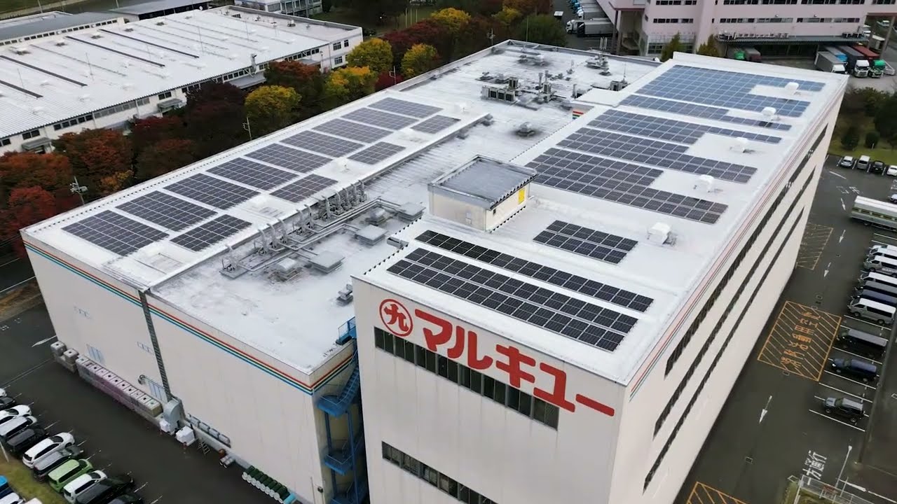 マルキユー 株式 会社
