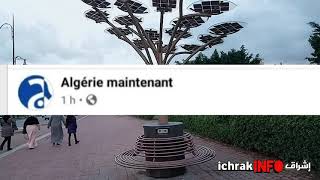 عاجل فضيحة جديدة للجزائر  ( سرقت مشروع الأشجار الإصطناعية بمراكش ) .maroc_algérie