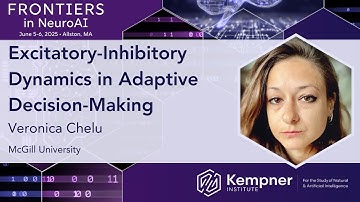 Excitatory-Inhibitory Dynamics in Adaptive Decision-Making with Veronica Chelu