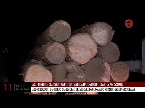 მარტვილში ხე-ტყის უკანონო ტრანსპორტირების ფაქტი გამოვლინდა