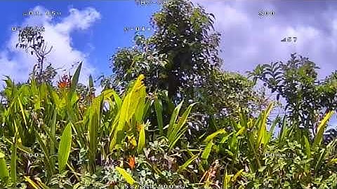 Quick Test: Sharkbyte Ratel V1 Lens Mod