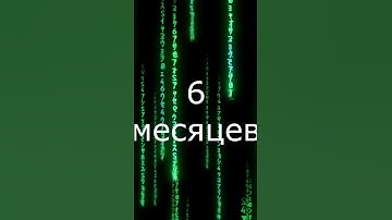 Как учатся программисты.