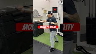 Agility & Mobility Ft: Zac La Babera #functionalfitness #functionaltraining #functionalstrength #gym