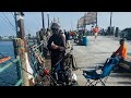 NO FISH AT ALL IN REDONDO BEACH