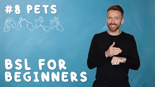 BSL for Beginners #8: Pets