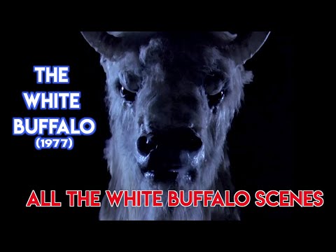THE WHITE BUFFALO (1977): ALL the White Buffalo scenes