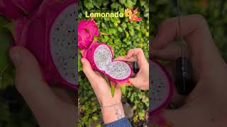 Lemonade Dragon Fruit