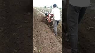 youtubeshortsfarmer agricultureindiankisan tredingperanitrendingshortstrendingshortstractor